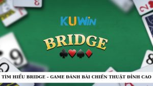 Bridge