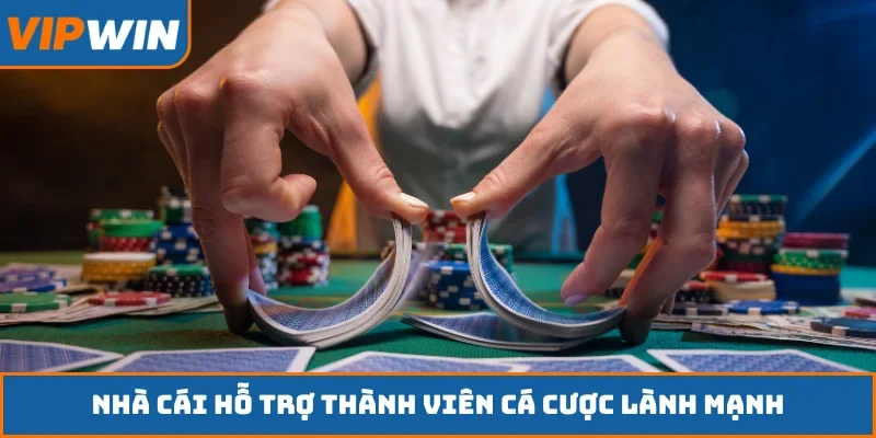 Nhà cái hỗ trợ thành viên cá cược lành mạnh